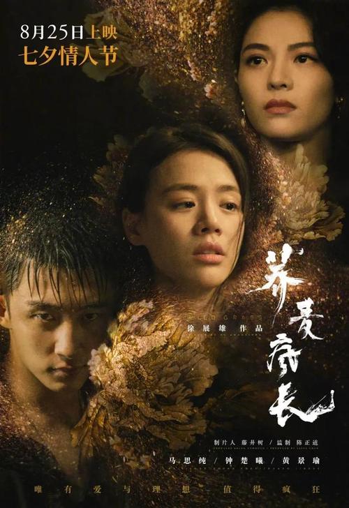加泰罗尼亚国际大学物理学文凭证书